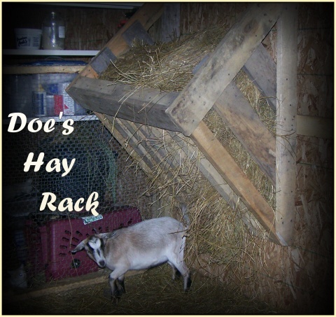 doe_hay_rack.jpg