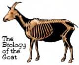 The Biology of the Goat
